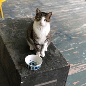 Meet your Posher, Caity